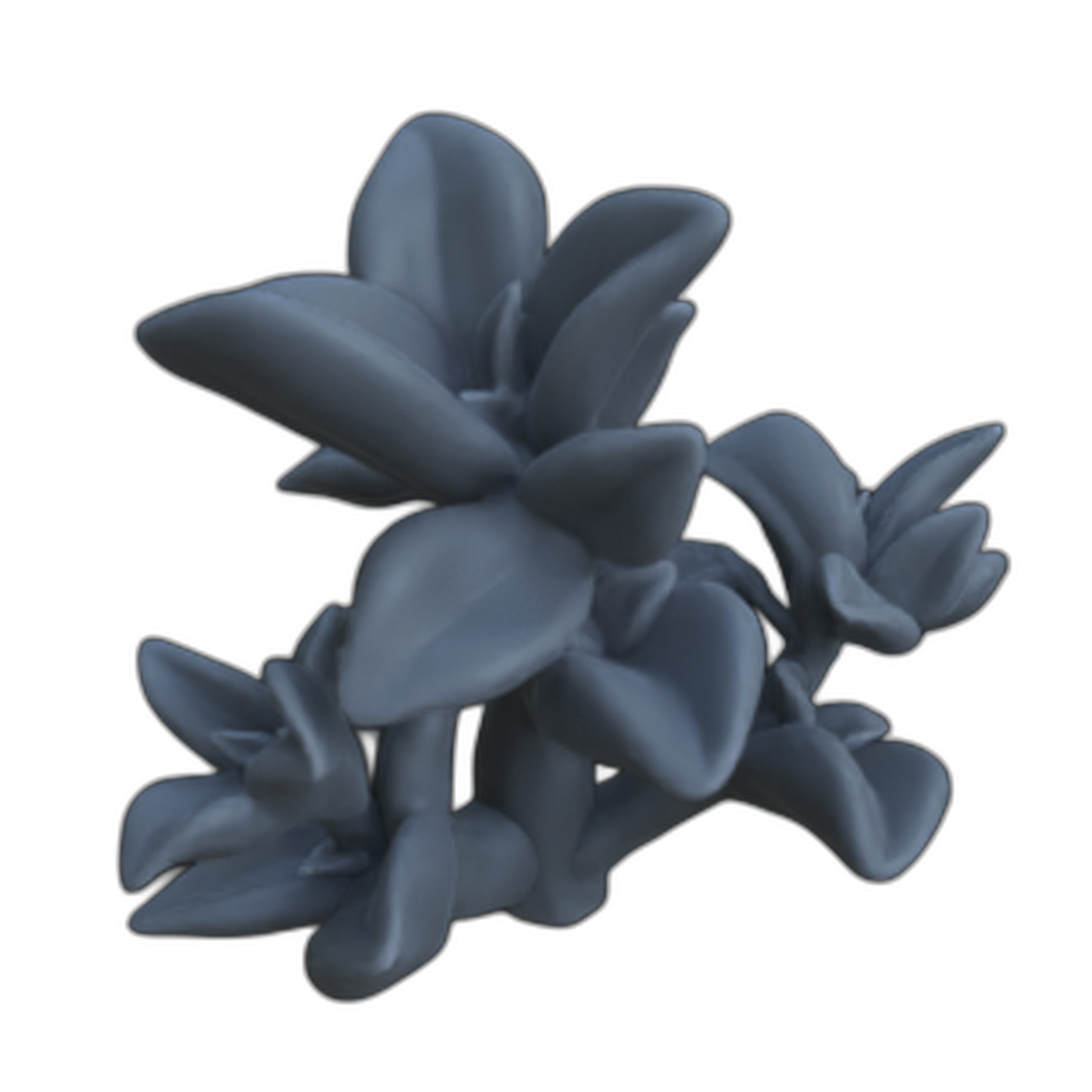 Produktfoto Diorama und Modellbau Deko, Zubehör:  0: Pflanzen und Gewächse: 10 Zwergpfeffer - Peperomia