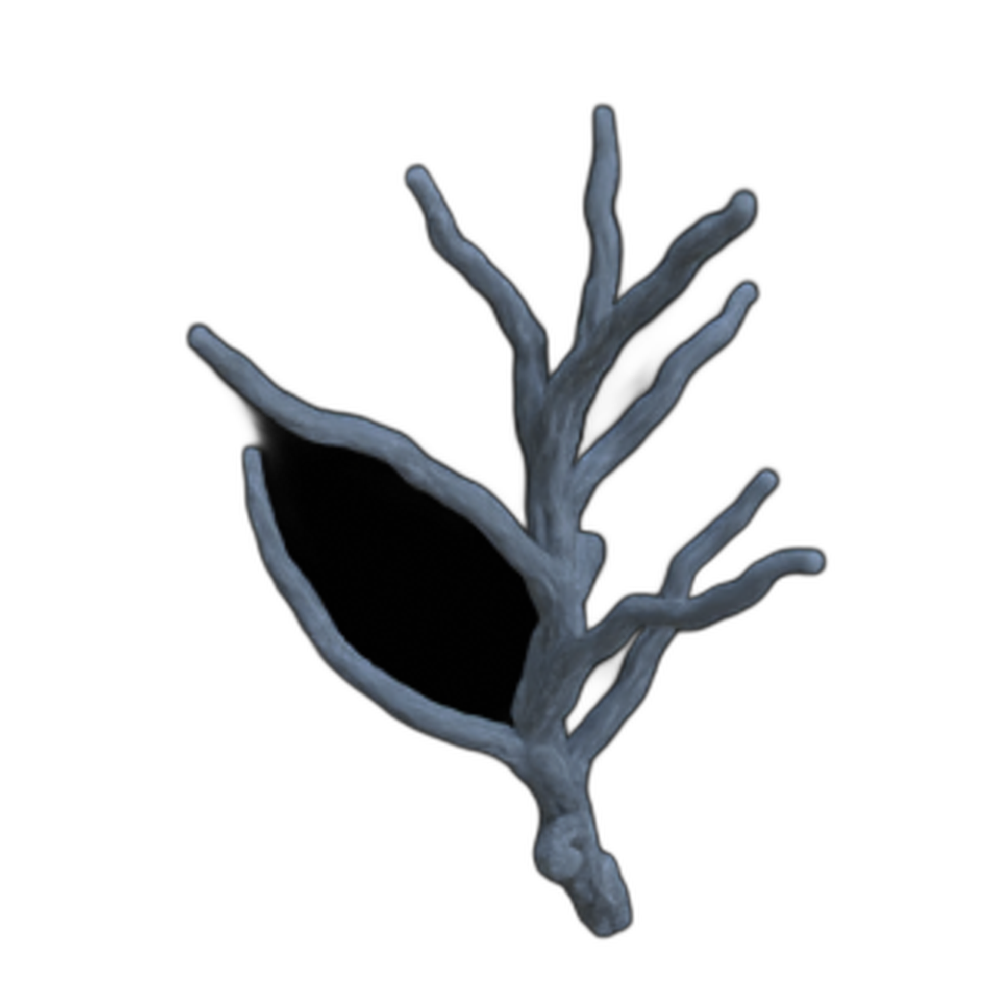 Produktfoto Diorama und Modellbau Deko, Zubehör:  0: Bäume: 5 Äste und Zweige