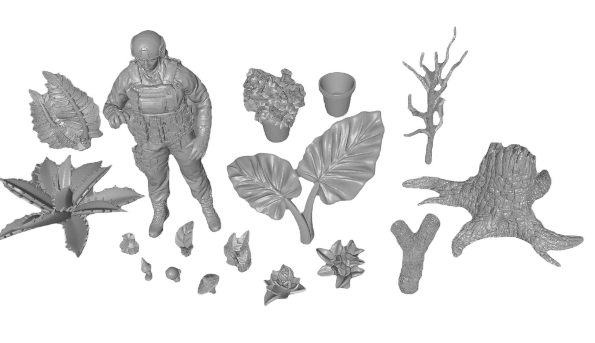 Produktfoto Diorama und Modellbau Deko, Zubehör:  0: Pflanzen und Gewächse: 10 Zwergpfeffer - Peperomia
