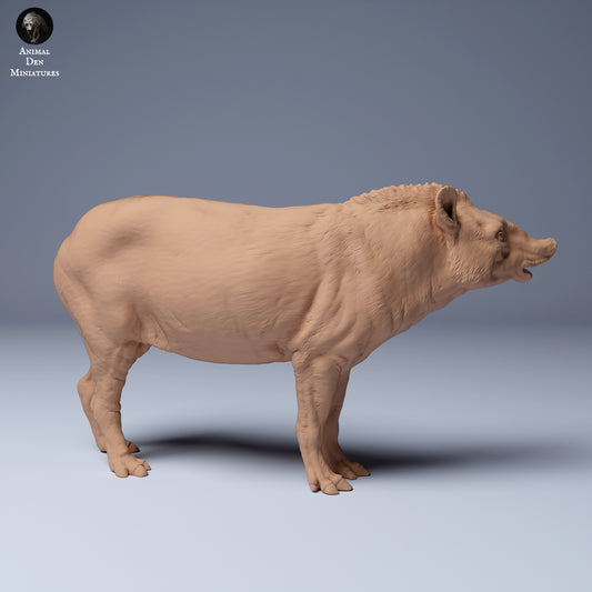 Foto do produto da figura de animal diorama, modelismo: 0: Tapir: Animais da América do Sul