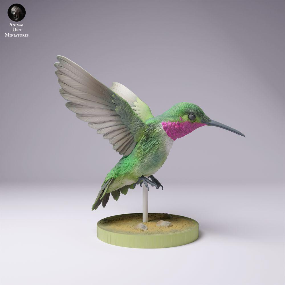 Produktfoto 3: Vogel Tierfigur: Breitschwanzkolibri (25_01_08)