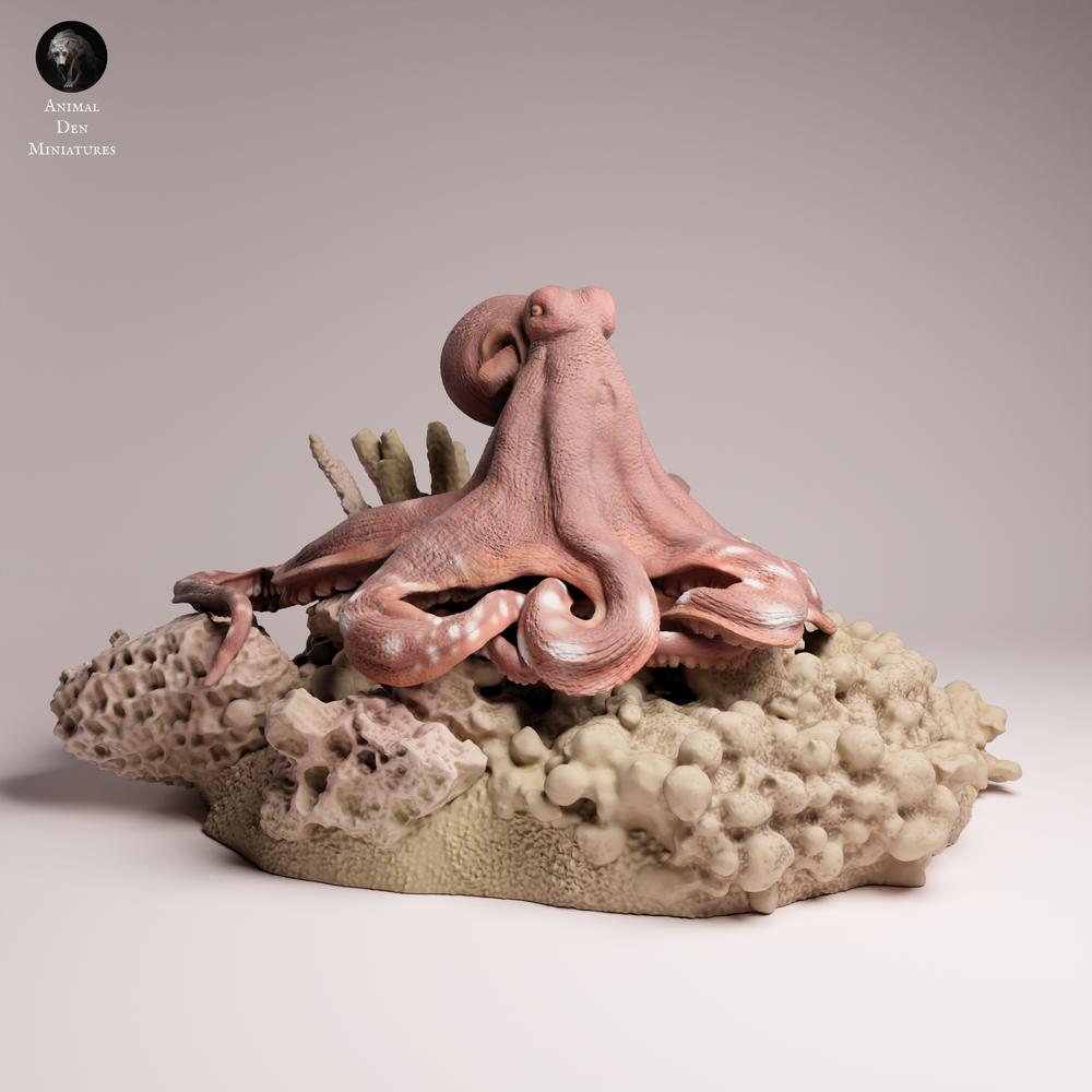 Produktfoto 3: Meerestier Tierfigur: Tagkrake (25_10_05)