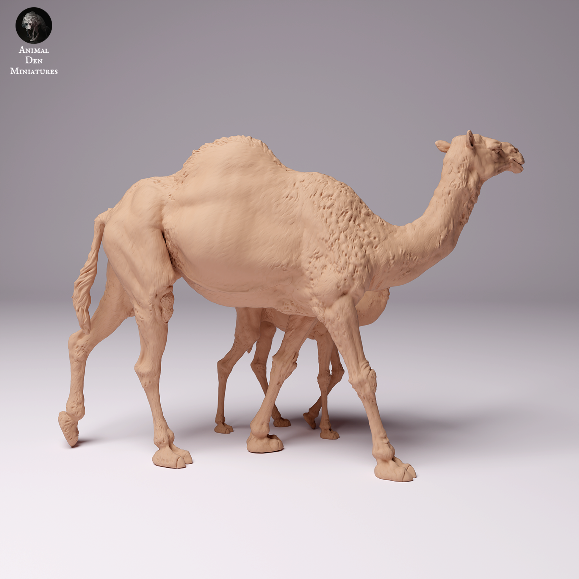 Product photo Animal Figure Diorama, Model Building: 0: Dromedary / Camel - Female Desert Camel with Camel Calf: Animals from Africa
