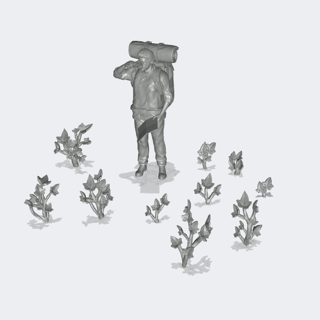 Produktfoto Miniatur Möbel, Einrichtung Diorama und Modellbau  0: Pflanzen und Gewächse: 10 Efeu Pflanzen