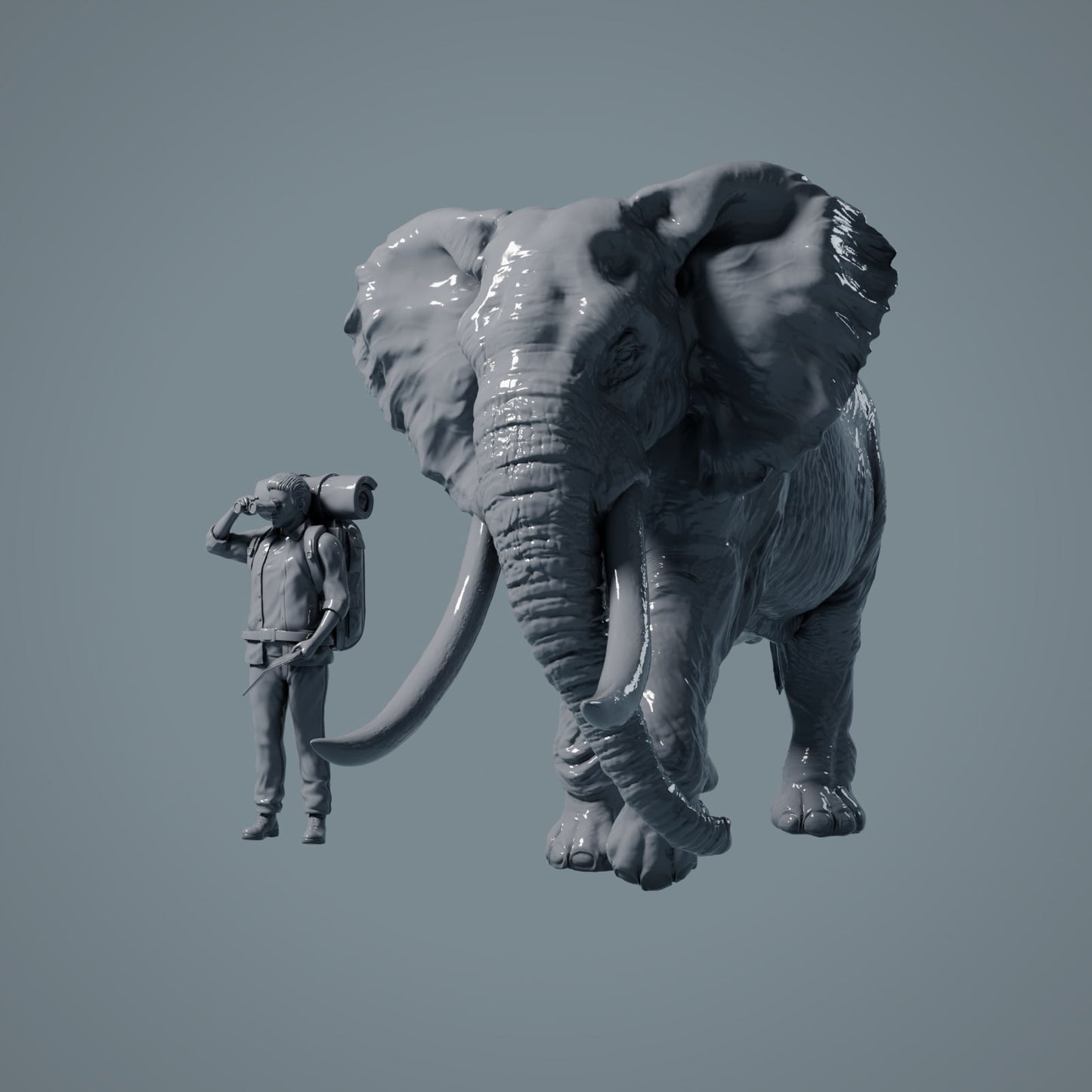 Elefante Africano - Animali della Savana (23_02_01)