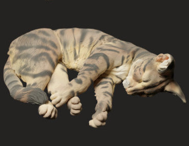 Foto do produto da figura de animal em diorama, modelismo: 0: figura de animal de estimação: gato a dormir