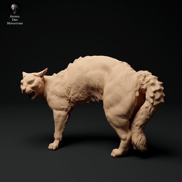 Product photo animal figure diorama, model building: 0: Pet figure: cat is bristling