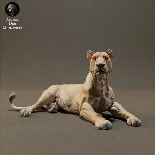 Product photo Animal Figure Diorama, Model Building: 0: Lying Lion - Savanna Animals