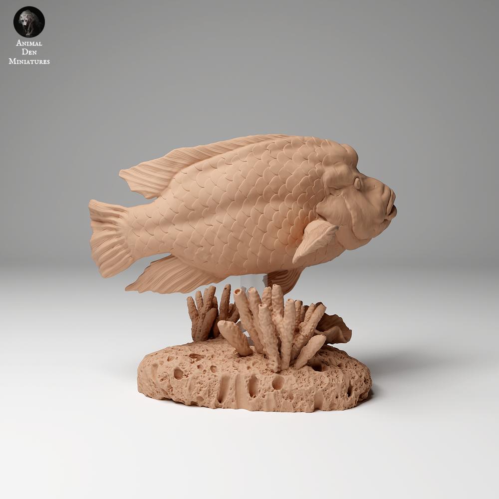 Produktová fotografie zvířecí figurky Animal Den Miniatures 0: Mořský živočich: Napoleonův pyskoun (24_06_07)