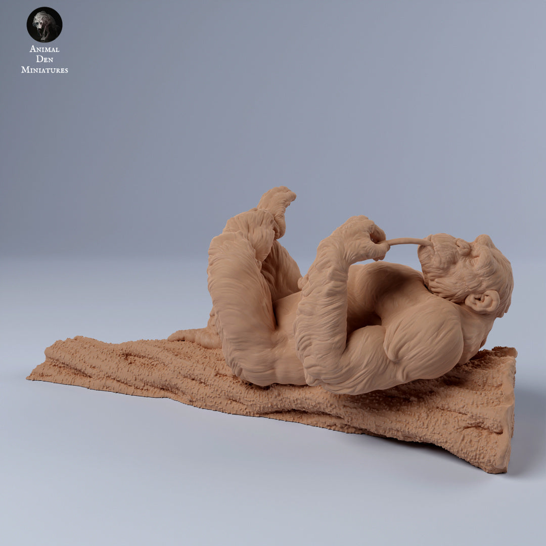 Zdjęcie produktu Figurki Zwierząt Diorama, Modelarstwo: 0: Samiec szympansa leżący na gałęzi: Zwierzęta z Afryki