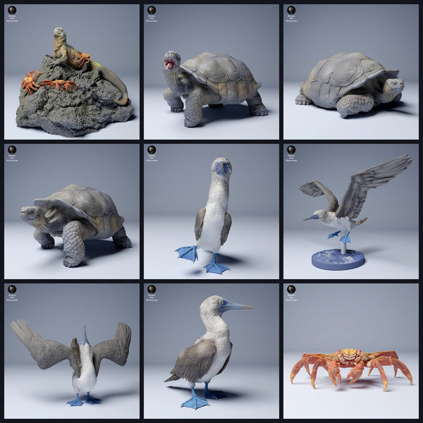 Tento obrázek je obrázek kategorie pro vydání 24_08: Galápagos-zvířecí miniatury a zvířecí figurky pro dioráma a modelářství