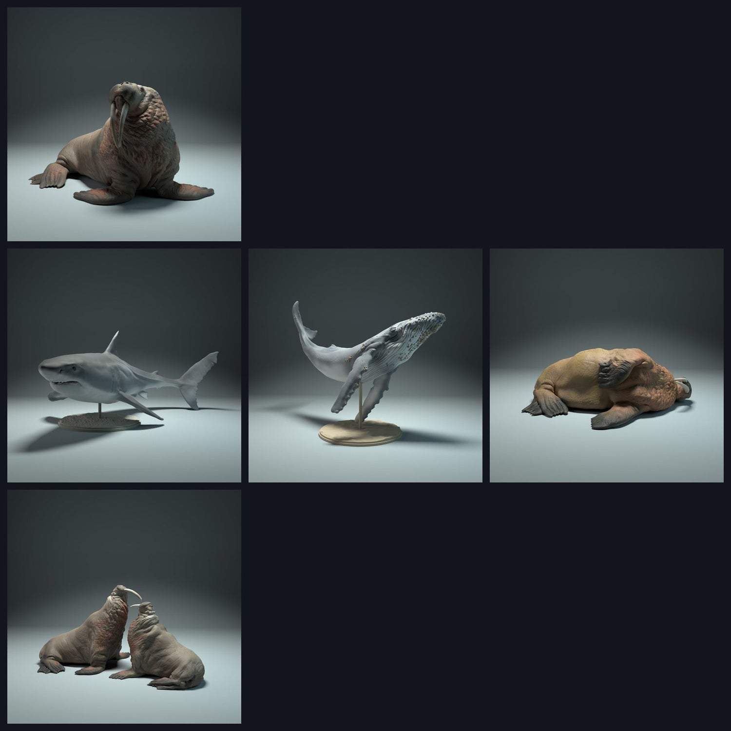 Questa immagine è l'immagine di categoria per il rilascio 22_09: Meeres-miniature animali per diorama e modellismo