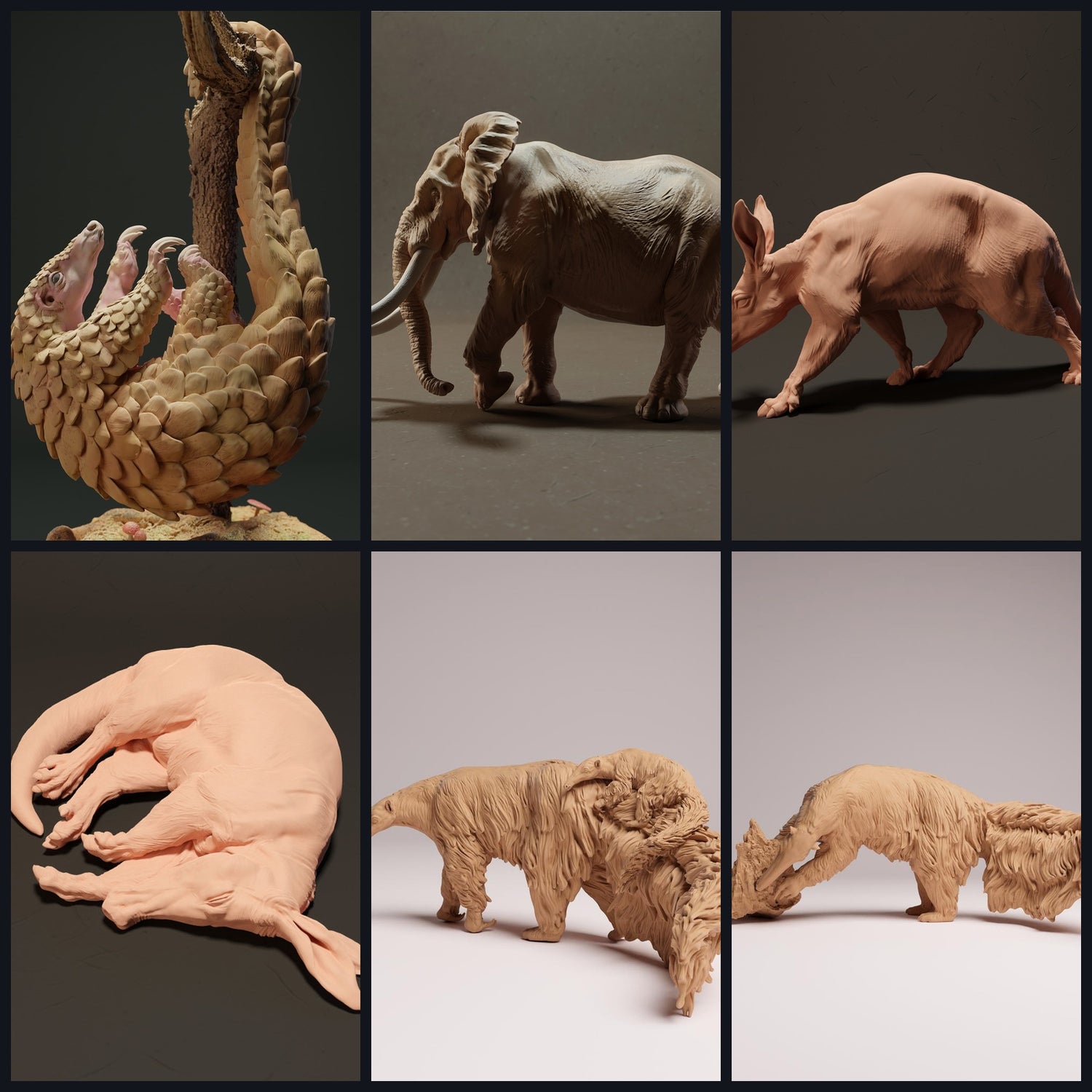 Tento obrázek je obrázek kategorie pro druh zvířat: Exotičtí savci