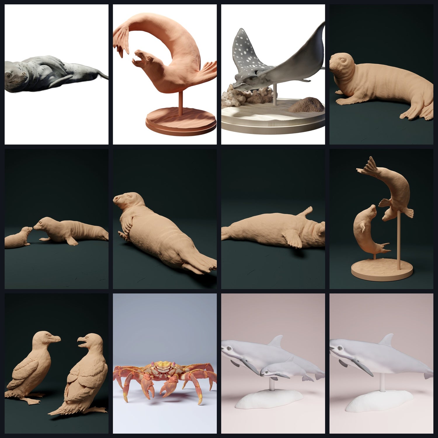 Dieses Bild ist das Kategoriebild für Lebensraum: Küste & Flachmeer (Riffe/Ästuare)