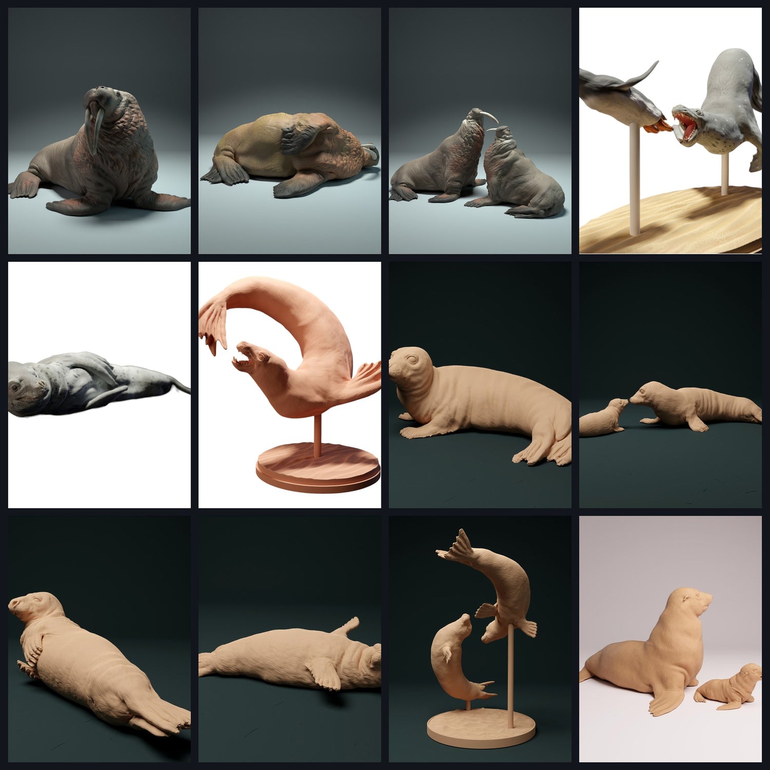 Tento obrázek je obrázkem kategorie pro druh zvířete: lachtani