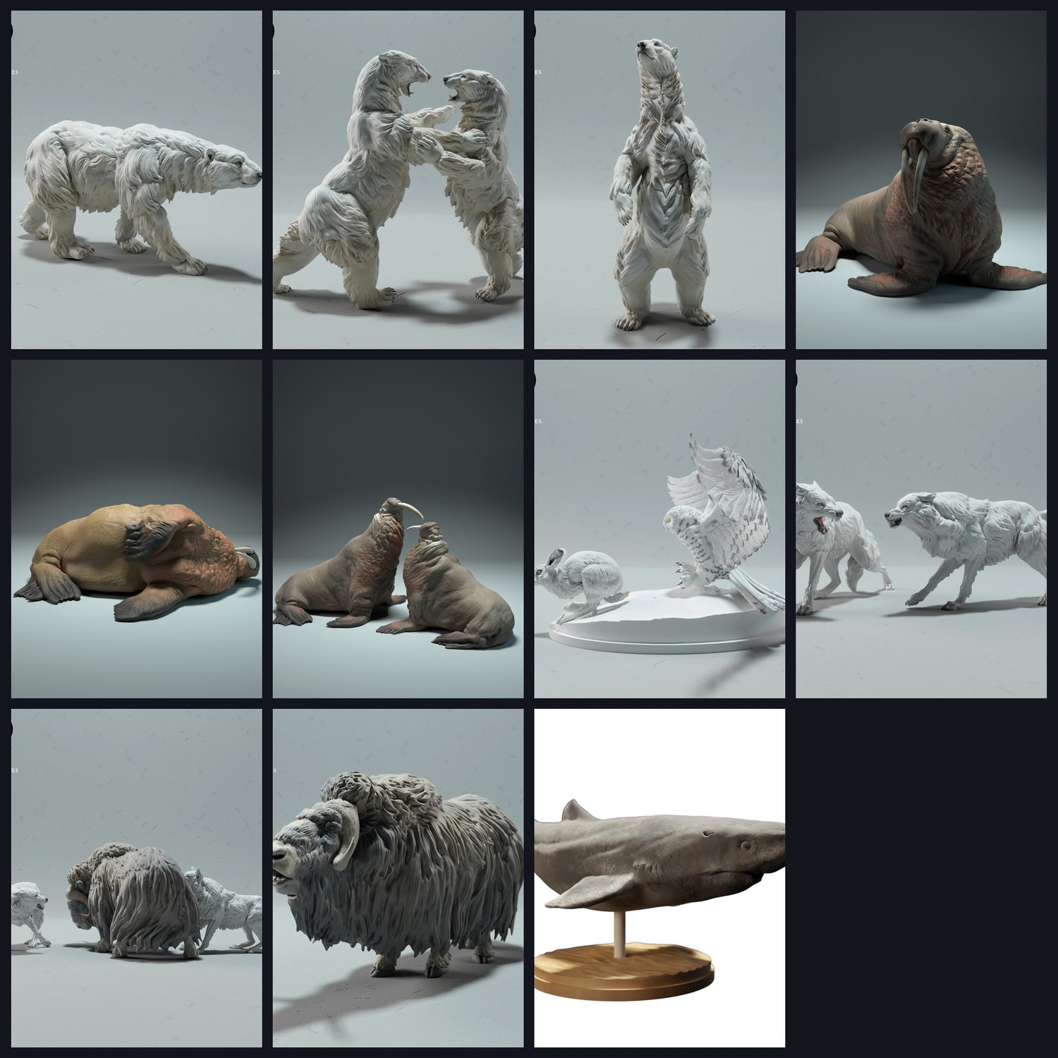 Dieses Bild ist das Kategoriebild für Region: Arktis