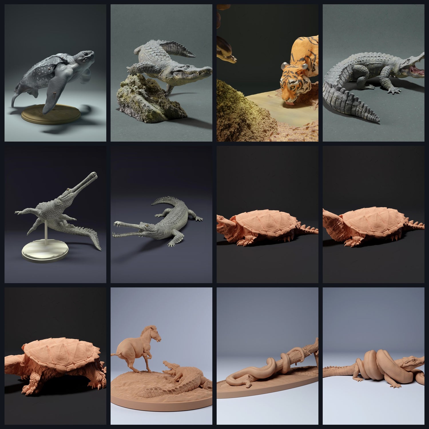 This image is the category image for animal type: Reptiles & Amphibians