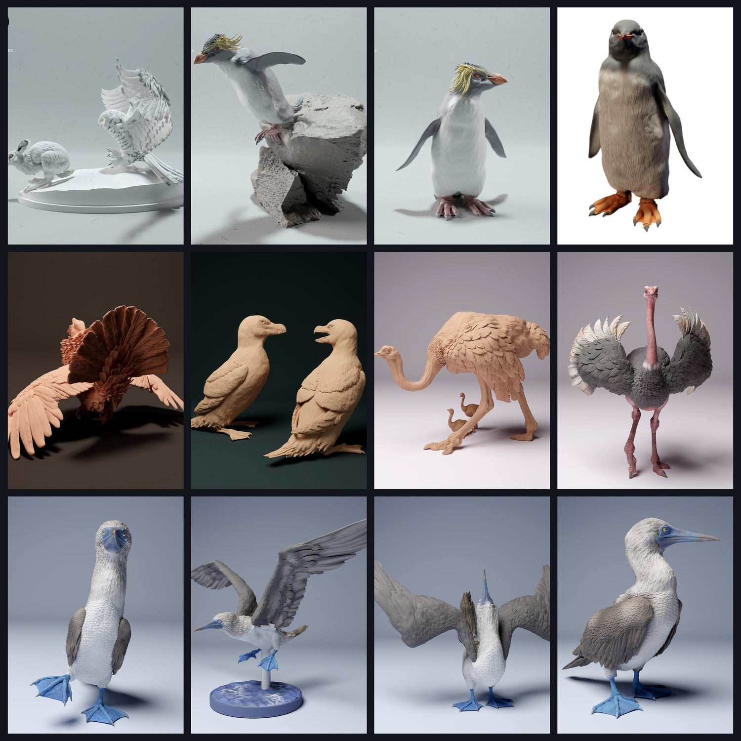 This image is the category image for animal type: Birds (including Penguins)