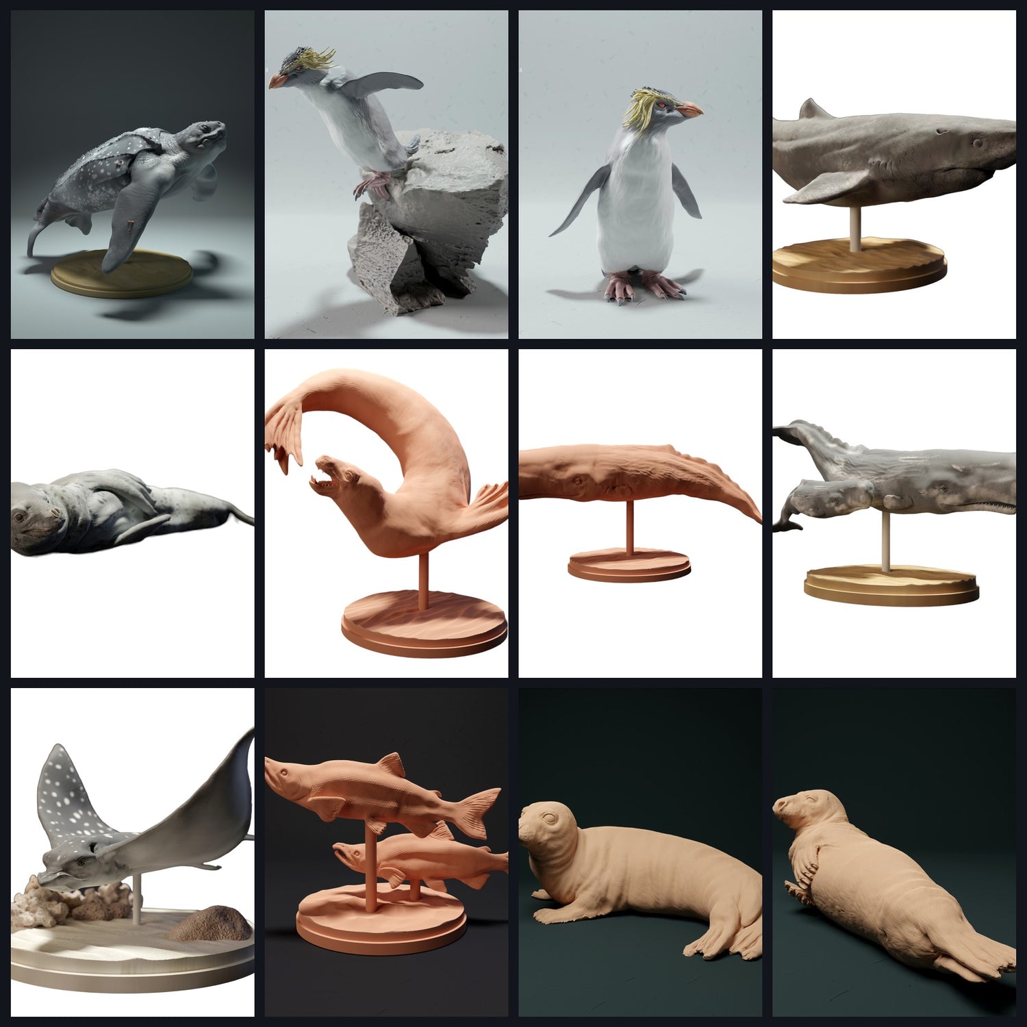 Αυτή η εικόνα είναι η κατηγορία εικόνας για το βιοτόπο: Ανοιχτός Ωκεανός