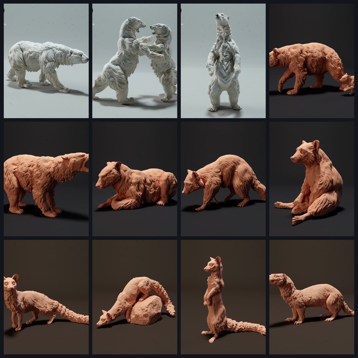 Questa immagine è l'immagine di categoria per la specie animale: Orsi & Piccoli Predatori