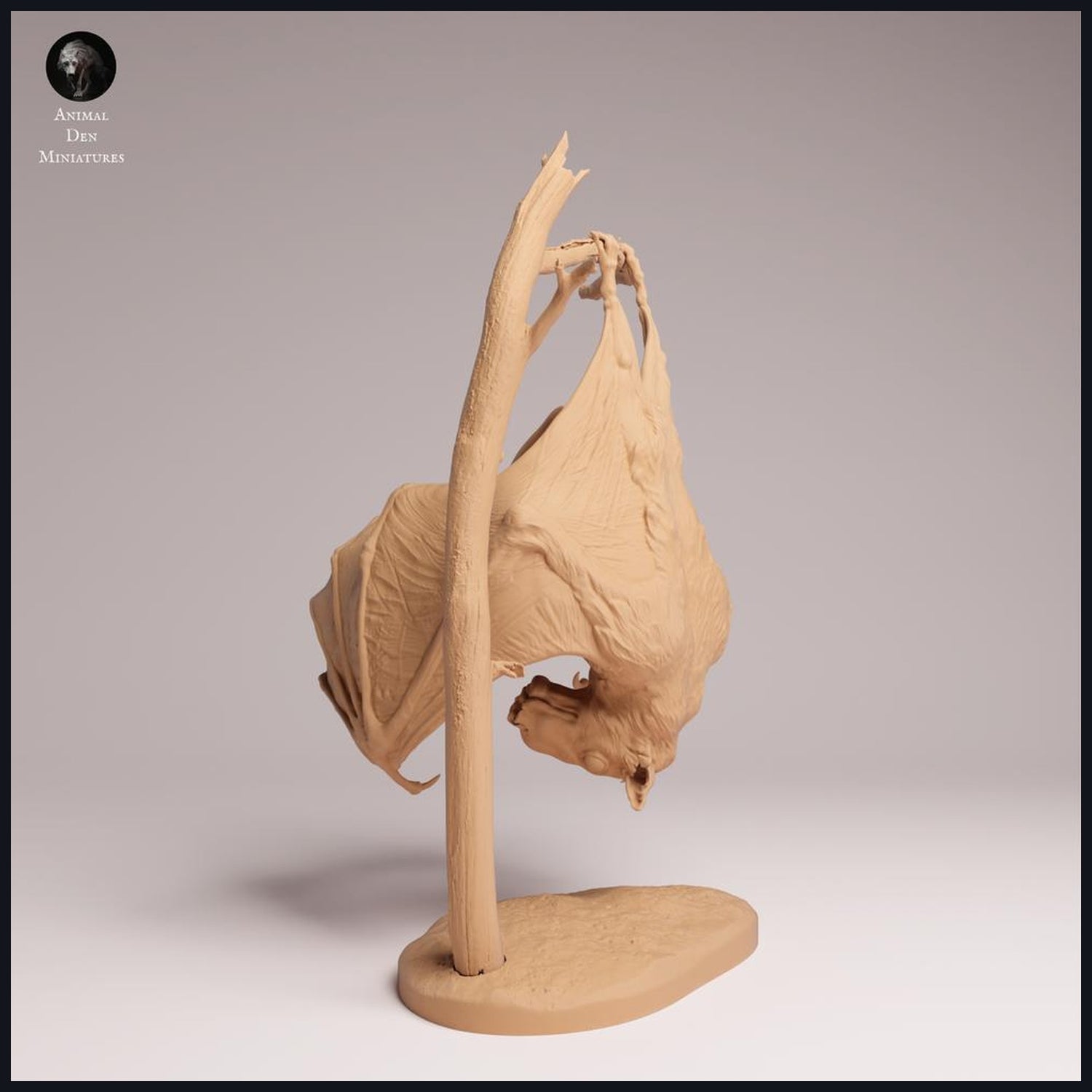 Tento obrázek je obrázek kategorie pro druh zvířete: netopýři