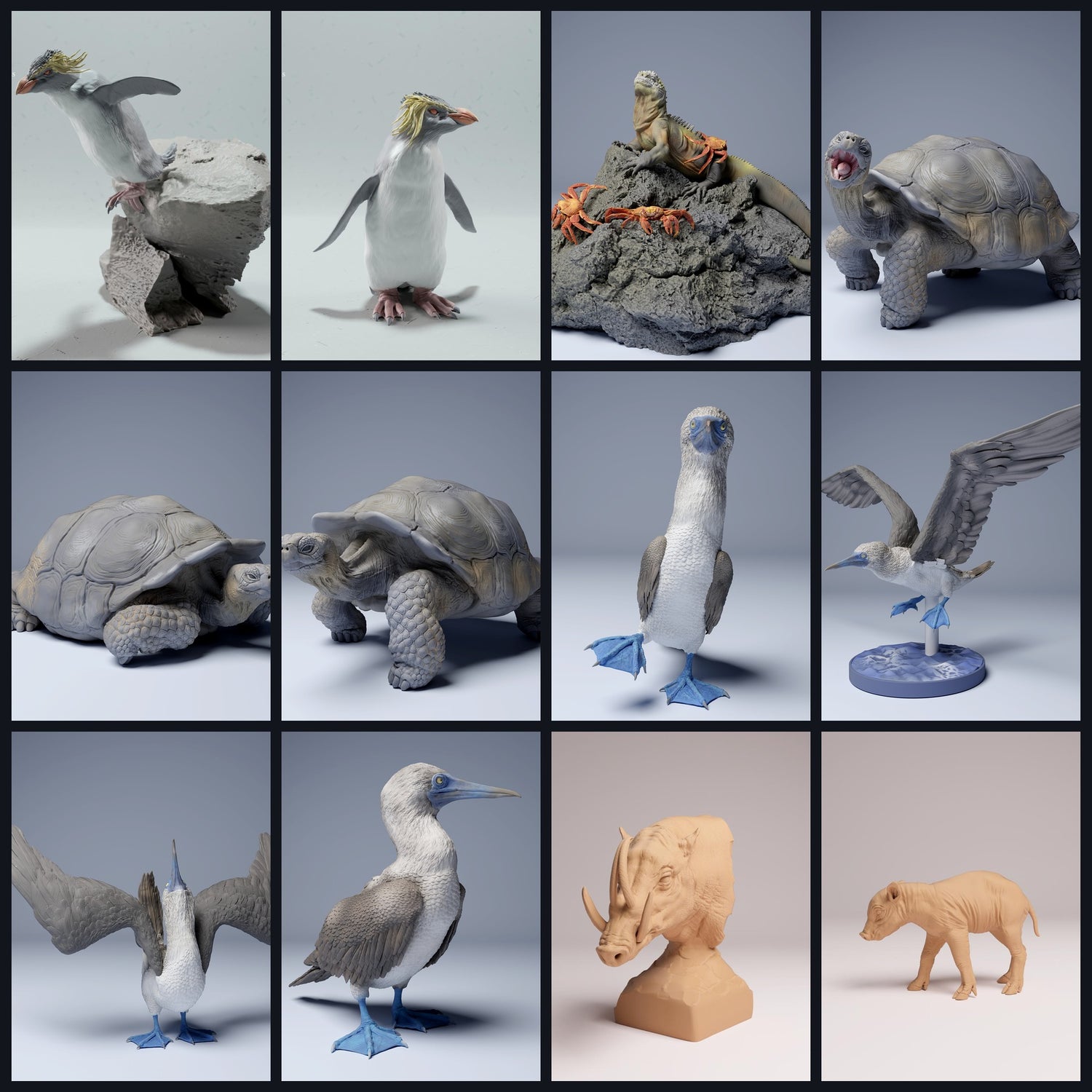 Dieses Bild ist das Kategoriebild für Lebensraum: Insel/Archipel