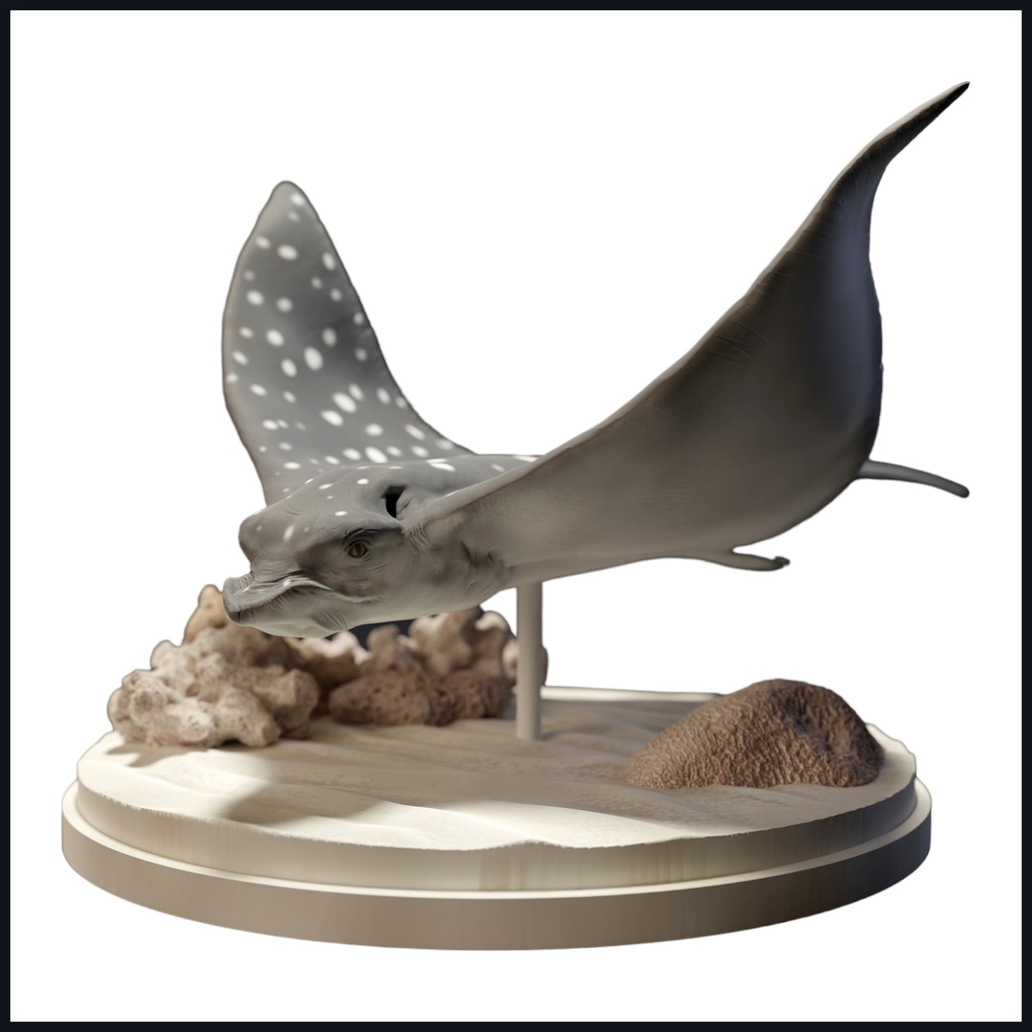 Esta imagem é a imagem da categoria para Habitat: Recifes de Coral