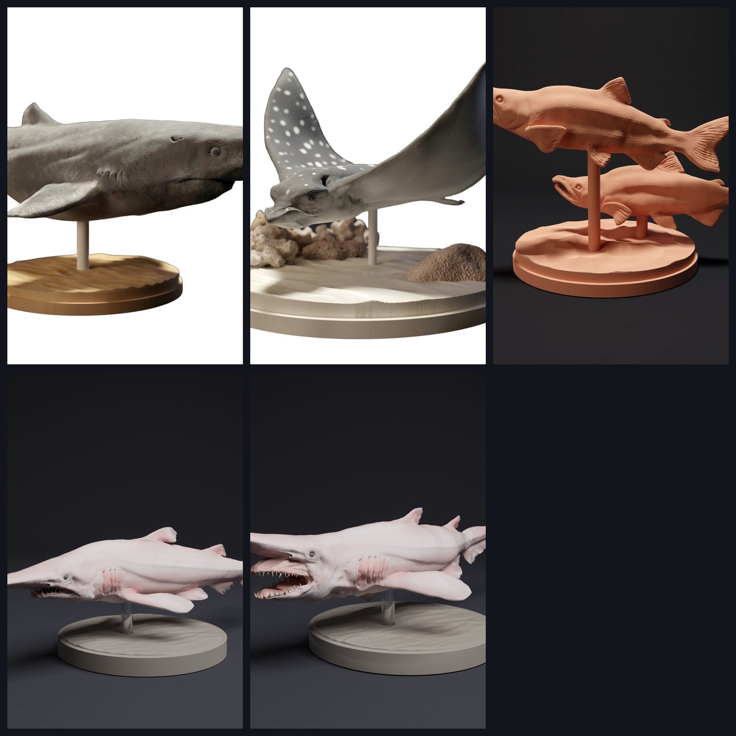 To zdjęcie jest obrazem kategorii dla gatunku: Ryby i ryby chrzęstne