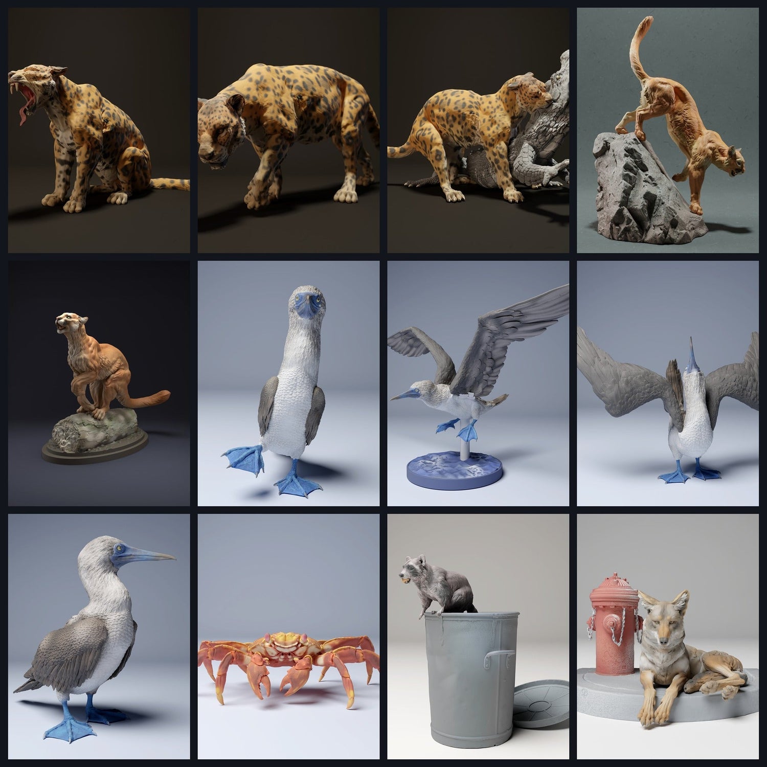 Αυτή η εικόνα είναι η εικόνα κατηγορίας για την περιοχή: Κεντρική Αμερική