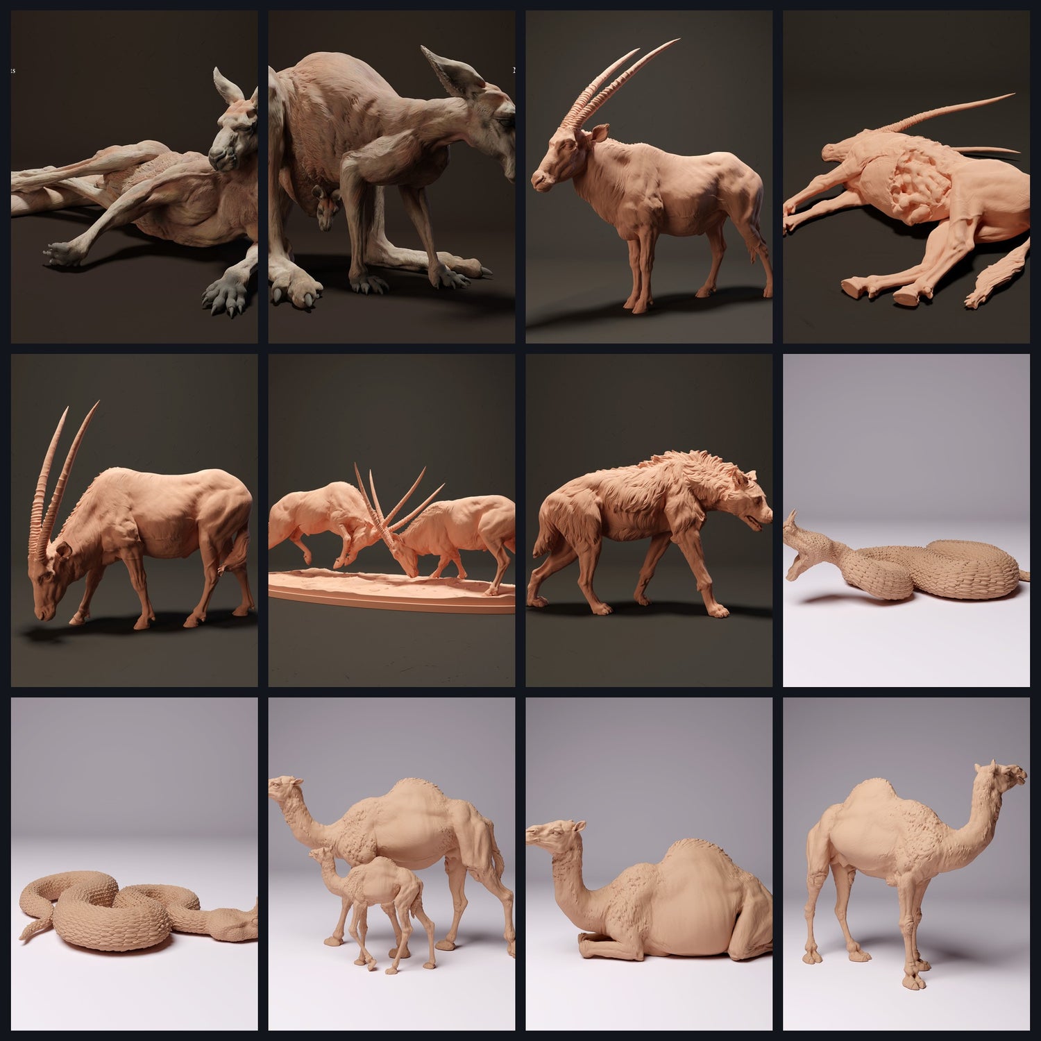 Αυτή η εικόνα είναι η κατηγορία για το βιοτόπο: Έρημος/Ημιέρημος