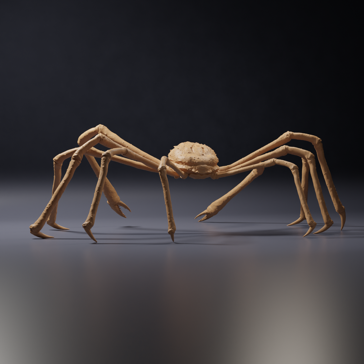 Φωτογραφία προϊόντος, φιγούρα ζώου Animal Den Miniatures 3: φιγούρα θαλάσσιου ζώου: ιαπωνικό γιγάντιο καβούρι (26_09_04)