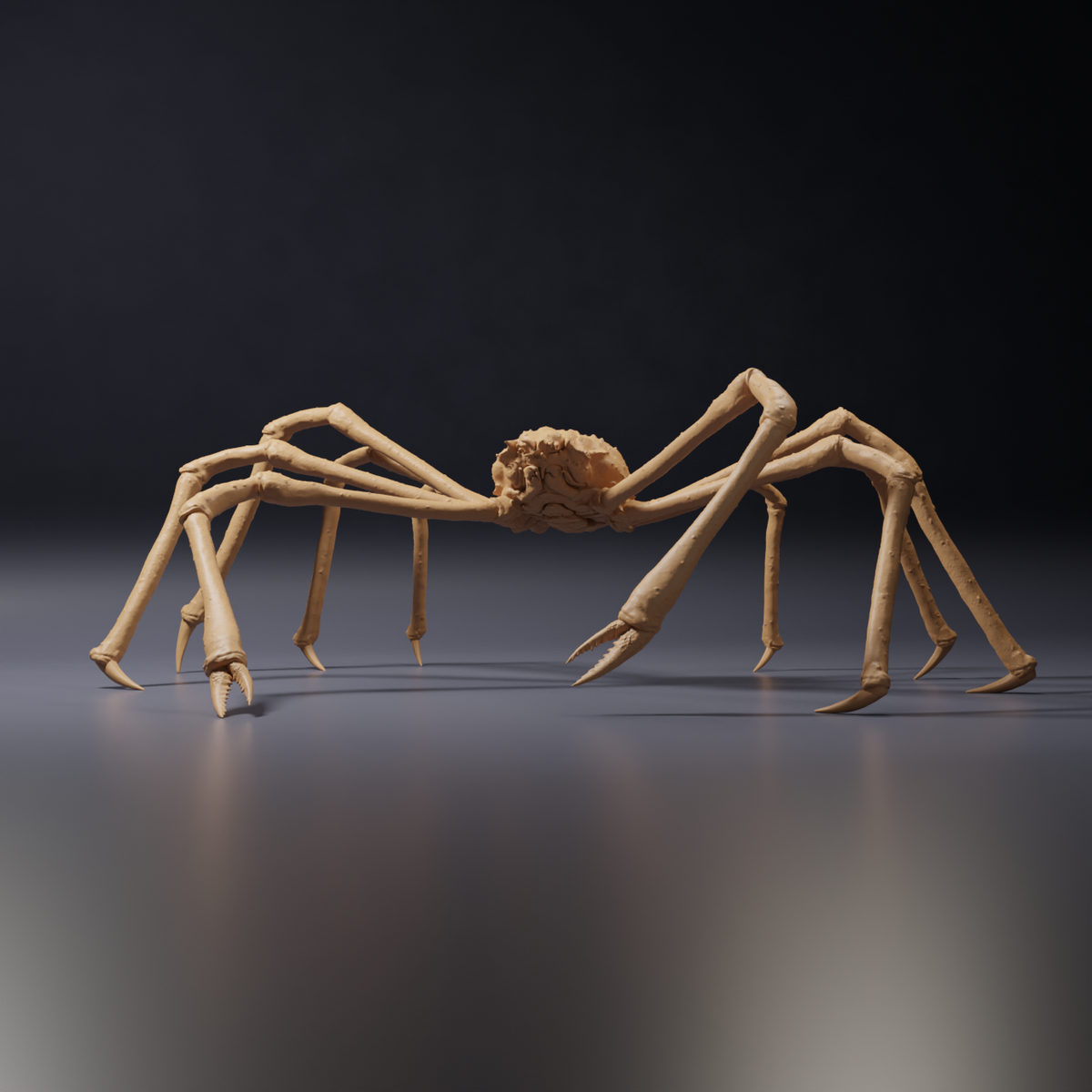 Φωτογραφία προϊόντος φιγούρας ζώου Animal Den Miniatures 0: Φιγούρα θαλάσσιου ζώου: Ιαπωνικό γιγάντιο καβούρι (26_09_04)