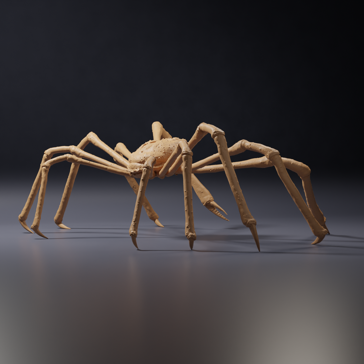 Φωτογραφία προϊόντος φιγούρας ζώου Animal Den Miniatures 4: θαλάσσιο ζώο, φιγούρα ζώου: ιαπωνικό γιγαντιαίο καβούρι (26_09_04)