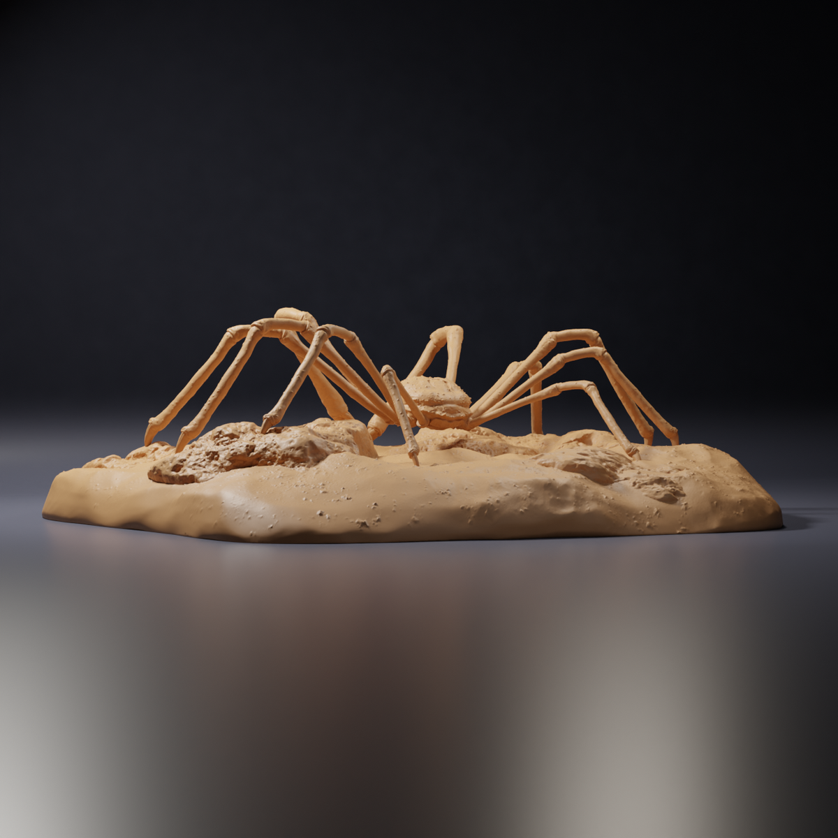 Φωτογραφία προϊόντος φιγούρας ζώου Animal Den Miniatures 4: Θαλάσσιο ζώο, φιγούρα ζώου: Ιαπωνικό γιγάντιο καβούρι (26_09_05)