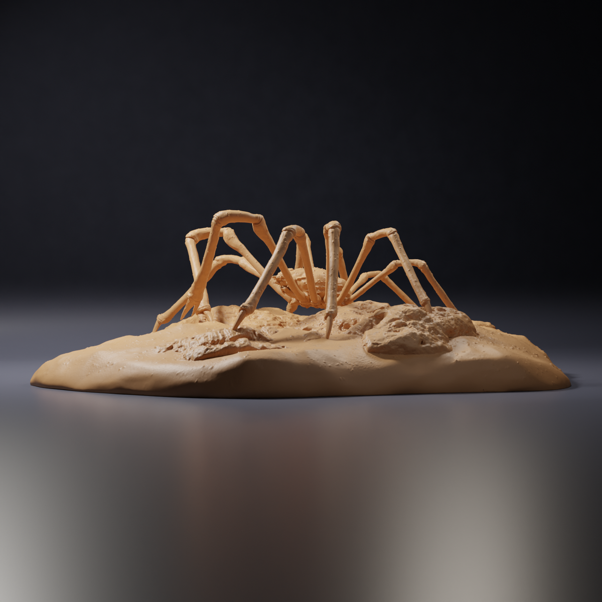 Φωτογραφία προϊόντος, φιγούρα ζώου Animal Den Miniatures 3: φιγούρα θαλάσσιου ζώου: ιαπωνικό γιγάντιο καβούρι (26_09_05)