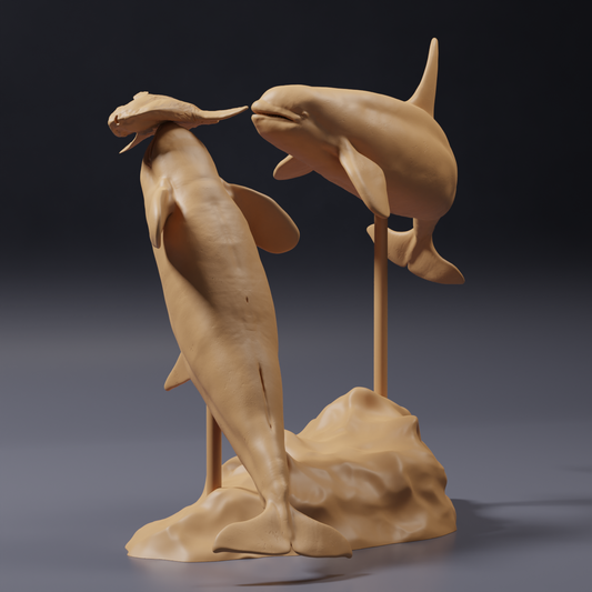 Φωτογραφία προϊόντος φιγούρας ζώου Animal Den Miniatures 0: Θαλάσσια ζώα: φεγγαρόψαρο και όρκες (26_09_07)