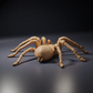 Produktfoto Tierfigur Animal Den Miniatures 4: Spinnentierfigur: Goliath-Vogelspinne (26_10_01)