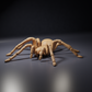 Produktfoto Tierfigur Animal Den Miniatures 0: Spinnentierfigur: Goliath-Vogelspinne (26_10_01)