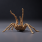 Produktová fotografie zvířecí figurky Animal Den Miniatures 0: Figurka pavouka: sklípkan největší - výhružný postoj (26_10_02)
