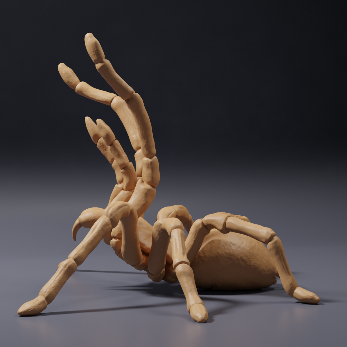 Fotografie produktu - figurka zvířete Animal Den Miniatures 3: figurka pavouka: Goliášská tarantule - výhrůžný postoj (26_10_02)
