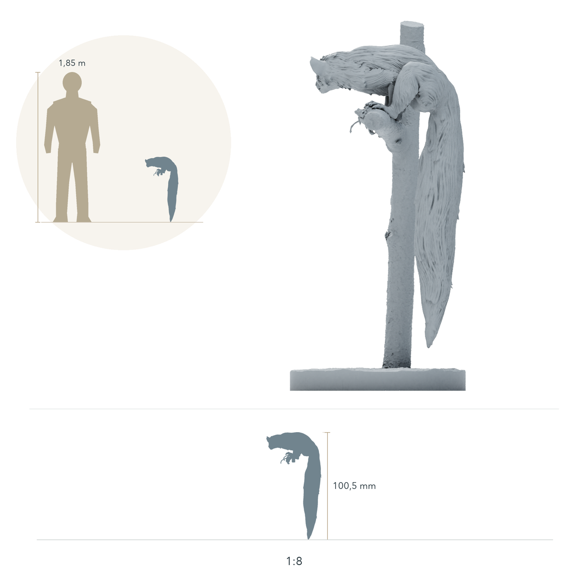 Φωτογραφία προϊόντος, φιγούρα ζώου Animal Den Miniatures 1: φιγούρα άγριου ζώου: άι-άι - καθιστό πάνω σε δέντρο (26_10_05)