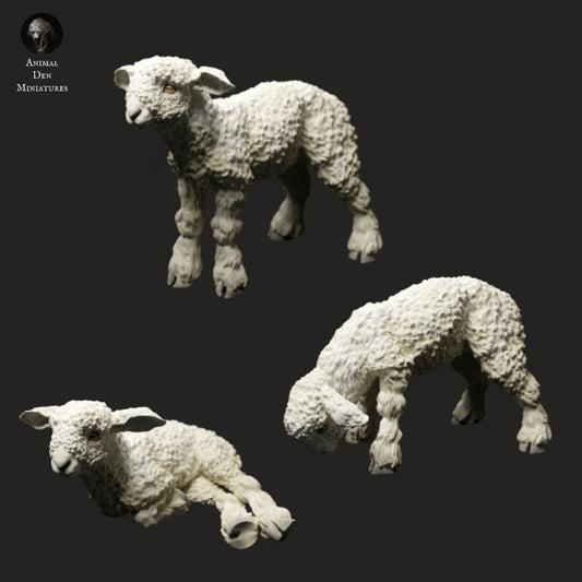 Produktfoto Tier Figur Diorama, Modellbau: 0: Bauernhof Tier Figuren: 3 Lämmer - stehendes, grasendes und liegendes Lamm