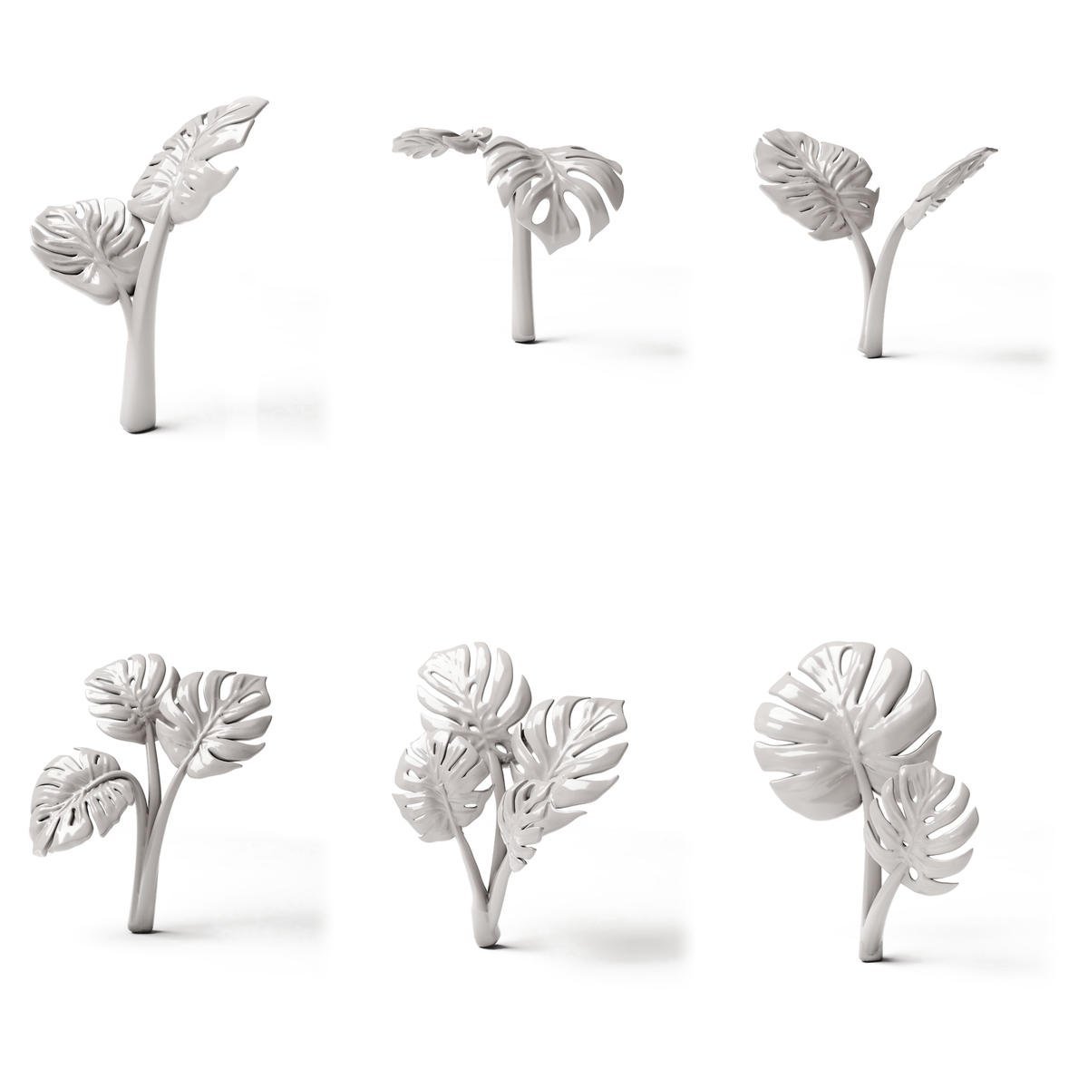 Set 05: 6 miniaturowych roślin na białym tle (Monstera)