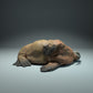 Produktfoto Tier Figur Diorama, Modellbau: 0: Meerestier Figur: schlafendes Walross (Ref 01_01_49)