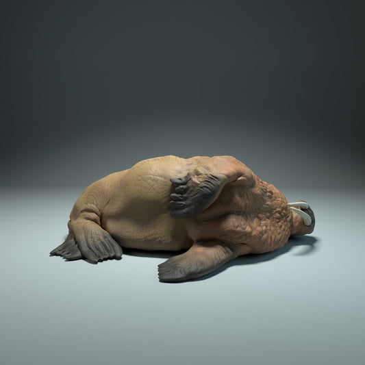 Produktfoto Tier Figur Diorama, Modellbau: 0: Meerestier Figur: schlafendes Walross (Ref 01_01_49)