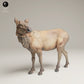 Produktfoto Tier Figur Diorama, Modellbau: 0: Wildtier Figur: Rocky Mountain Wapiti-Kuh (Ref 25_06_02)