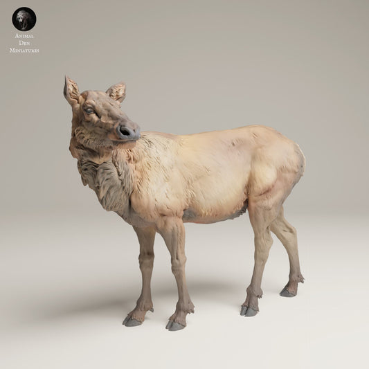 Produktfoto Tier Figur Diorama, Modellbau: 0: Wildtier Figur: Rocky Mountain Wapiti-Kuh (Ref 25_06_02)