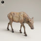 Produktfoto Tier Figur Diorama, Modellbau: 0: Wildtier Figur: fressende Rocky-Mountain-Wapiti-Kuh (Ref 25_06_01)