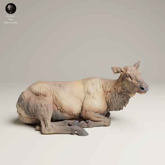 Produktfoto Tier Figur Diorama, Modellbau: 0: Wildtier Figur: Liegende Elchkuh – Rocky Mountain (Ref 25_06_14)
