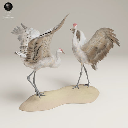Produktové foto zvířecí figurky diorama, modelářství: 0: Divoká zvířecí figurka: Tančící kanadské jeřáby – Velcí pískoví jeřábi (Ref 25_06_10)